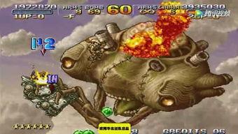 最新的八卦爆料淮阳,揭秘最新八卦背后的惊人真相